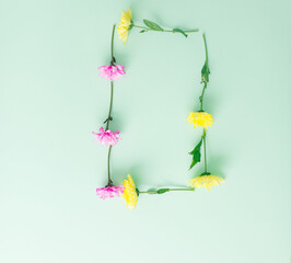 Beautiful creative concept of colorful fresh daisy flowers.