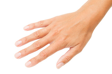 Woman's hand, hand with fingers isolated on white background with clipping path.