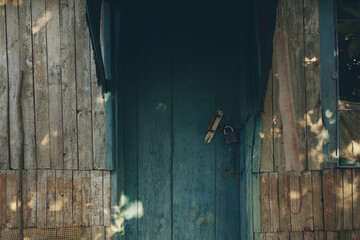 pretty woman summer countryside village