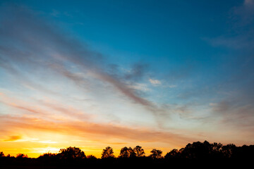 sunset above trees, tree silhouettes, used as background or texture