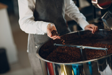 Coffee cooling in roaster machine at coffee roasting process. Young woman barista drops coffee beans in hands
