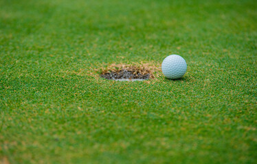 A white golf ball is placed in the mouth of the hole on the green grass