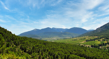 Fototapeta na wymiar Panorama view of Sierra Espuña during a sunny day, from the full of green trees Castellar Mountain, in Murcia. 