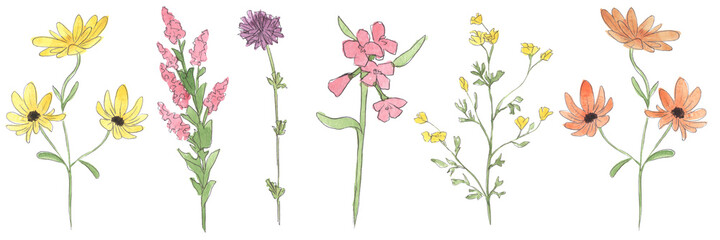 set of pink and yellow wild flowers
