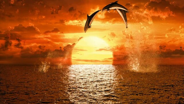 jumping dolphins against the backdrop of a beautiful sunset, 3d animation