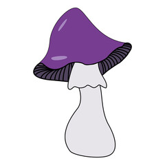 Vector isolated magic mushroom with purple hat
