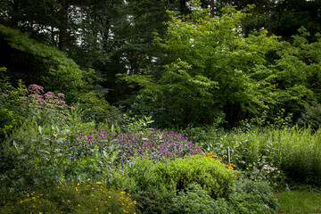 Fototapeta premium Yard