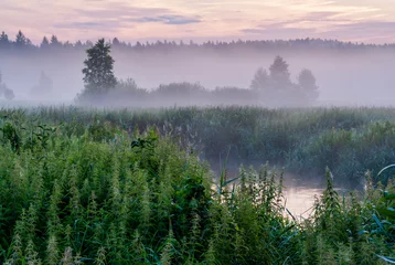 Afwasbaar Fotobehang Mistig bos Ochtendwandeling langs de Supraśl-riviervallei, Podlasie, Polen