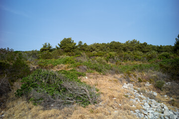 Stone wall beach in the Croatia coast