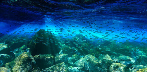 Fototapeta na wymiar Aquarium in the shallow waters