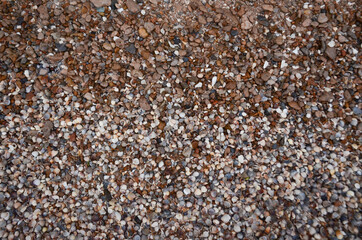 texture, shells, stones, background, foam, wave