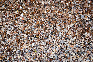 texture, shells, stones, background, foam, wave