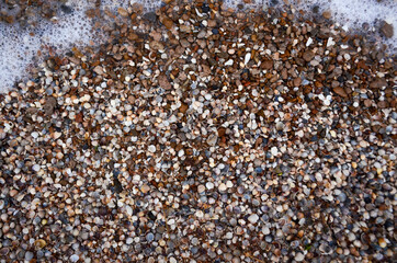 texture, shells, stones, background, foam, wave