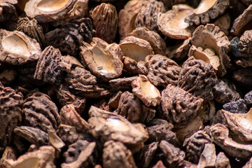 Organic background with shredded peach seeds as organic mulching and sustainable pathway  in organic gardening scenery as dry fertilizer in agricultural ecosystems and scattered wood chips close-up