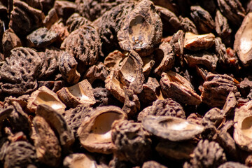 Organic background with shredded peach seeds as organic mulching and sustainable pathway  in organic gardening scenery as dry fertilizer in agricultural ecosystems and scattered wood chips close-up