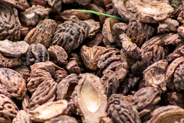 Organic background with shredded peach seeds as organic mulching and sustainable pathway  in organic gardening scenery as dry fertilizer in agricultural ecosystems and scattered wood chips close-up