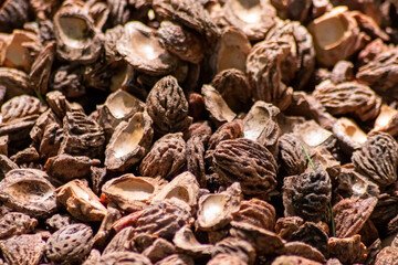 Organic background with shredded peach seeds as organic mulching and sustainable pathway  in organic gardening scenery as dry fertilizer in agricultural ecosystems and scattered wood chips close-up