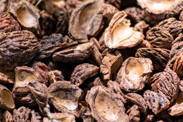 Organic background with shredded peach seeds as organic mulching and sustainable pathway  in organic gardening scenery as dry fertilizer in agricultural ecosystems and scattered wood chips close-up
