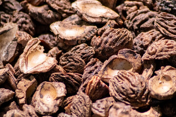 Organic background with shredded peach seeds as organic mulching and sustainable pathway  in organic gardening scenery as dry fertilizer in agricultural ecosystems and scattered wood chips close-up