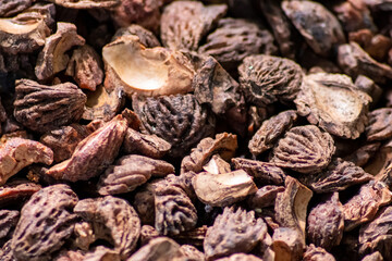 Organic background with shredded peach seeds as organic mulching and sustainable pathway  in organic gardening scenery as dry fertilizer in agricultural ecosystems and scattered wood chips close-up