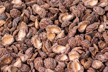 Organic background with shredded peach seeds as organic mulching and sustainable pathway  in organic gardening scenery as dry fertilizer in agricultural ecosystems and scattered wood chips close-up