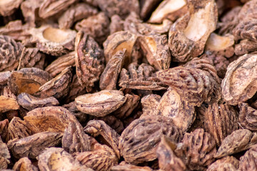 Organic background with shredded peach seeds as organic mulching and sustainable pathway  in organic gardening scenery as dry fertilizer in agricultural ecosystems and scattered wood chips close-up