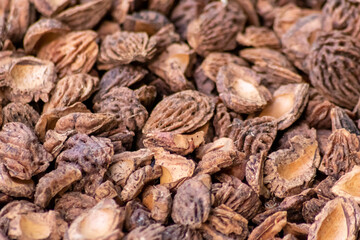 Organic background with shredded peach seeds as organic mulching and sustainable pathway  in organic gardening scenery as dry fertilizer in agricultural ecosystems and scattered wood chips close-up