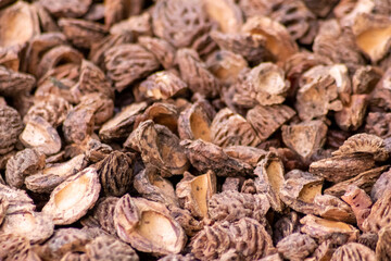Organic background with shredded peach seeds as organic mulching and sustainable pathway  in organic gardening scenery as dry fertilizer in agricultural ecosystems and scattered wood chips close-up