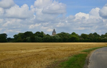 Obraz premium Landschaft im Sommer mit Stoppelfeld