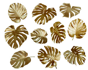 Tropical leaves in gold color on white space background.Abstract monstera leaf decoration design