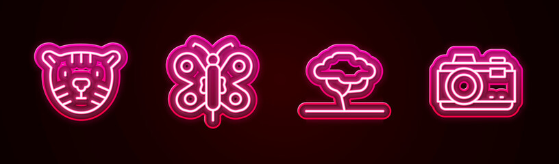 Set line Tiger head, Butterfly, African tree and Photo camera. Glowing neon icon. Vector