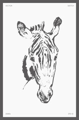 High detail hand drawn vector zebra s head sketch