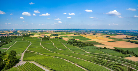 Fototapeta na wymiar Landscape in Germany in Baden Wuertemberg, around Heilbronn, vineyard area