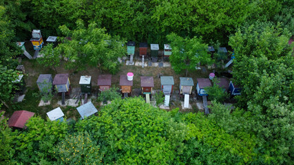 Pszczela pasieka - widok z góry - zdjęcie z drona