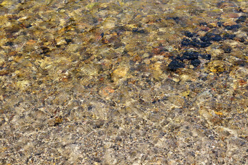 Clear water flowing through the pebbles in the creek