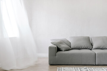 Sofa in living room interior, home design.