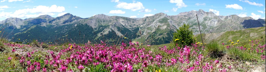 Couleurs de Montagne