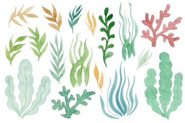 Cute watercolor set of cartoon underwater ocean seaweed.