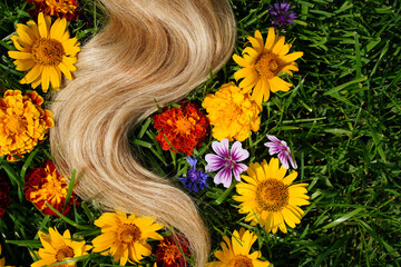 A lock of blond hair among the flowers, on the green grass. Hair health concept, natural ingredient cosmetics, hair care, health and strength. - obrazy, fototapety, plakaty
