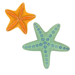 Cute watercolor cartoon starfish isolated on white background.
