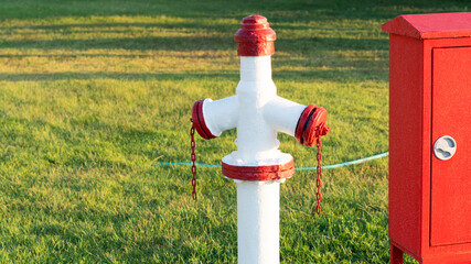 Fire hydrant on green lawn.