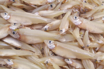Fresh anchovies fish background