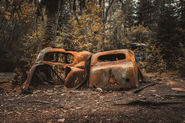 Two old vintage abandoned rusty cars and a small bird deep in a autumnal forest
