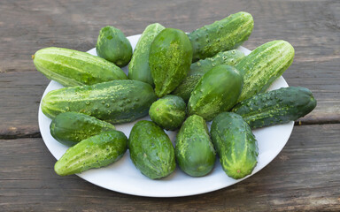 Close up shot of many fresh cucumbers in a white plate with wooden background