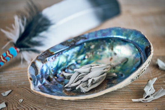 Wei&szlig;er Salbei wird in einer Abalone ger&auml;uchert - spirituelle Raumreinigung