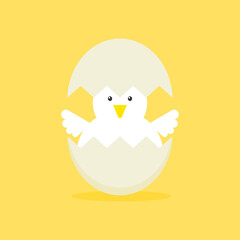 Cute vector cartoon illustration of baby chicken hatching from the egg. Funny and educational illustration. Chicken hatching. Cracked chick egg, hatch eggs and hatched easter chicks cartoon vector