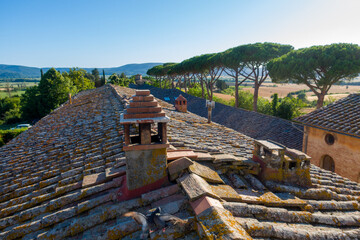 Tuscany Panoroma of vineyard, farmland, cypress trees and white road on sunny day. Siena