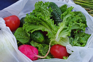raw vegetables from the bazaar in a package salad