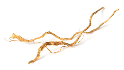 close up of vetiver roots, isolated on white background