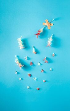 Falling parts of coral with patch on blue background. Minimal lay out.